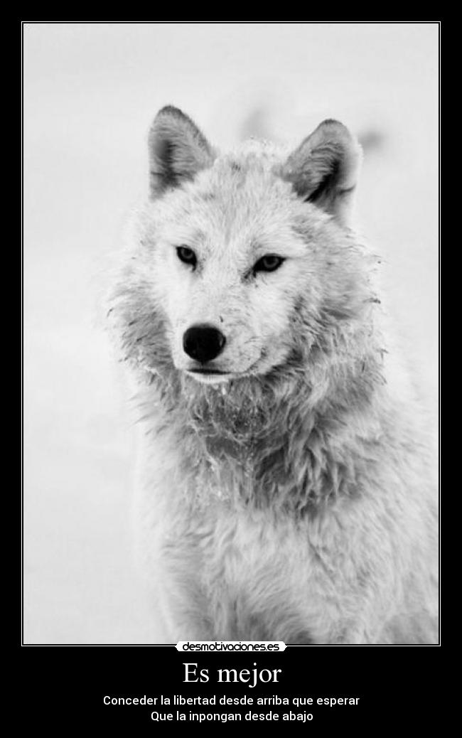 Es mejor - Conceder la libertad desde arriba que esperar
Que la inpongan desde abajo