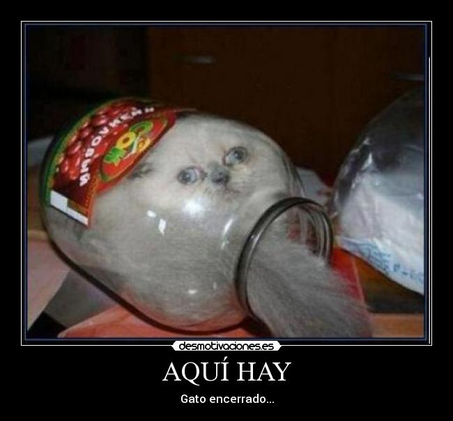 AQUÍ HAY -