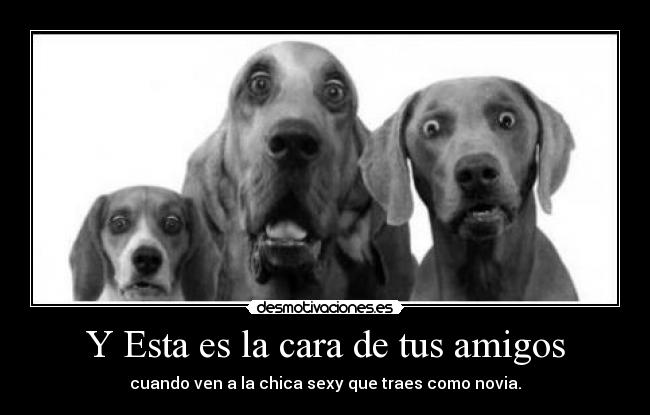 Y Esta es la cara de tus amigos -