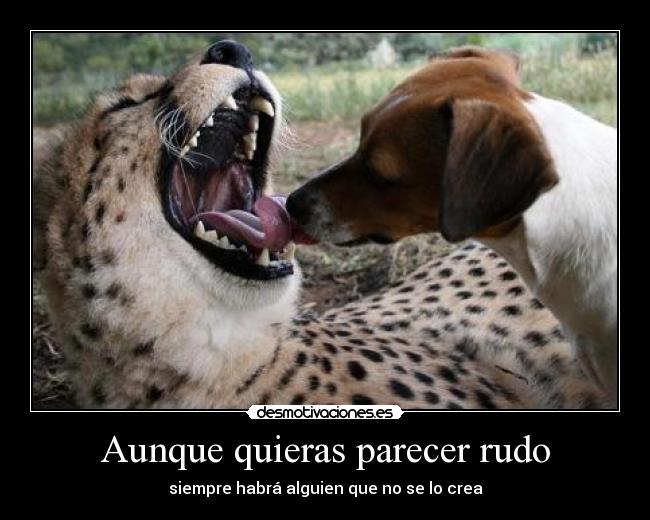 Aunque quieras parecer rudo -