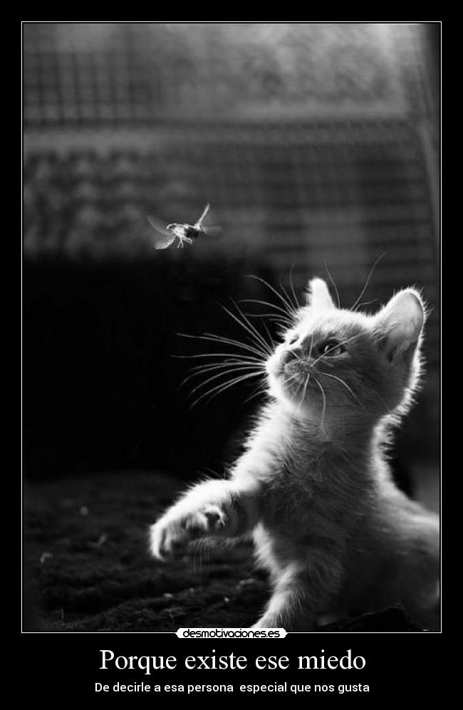 Porque existe ese miedo - 