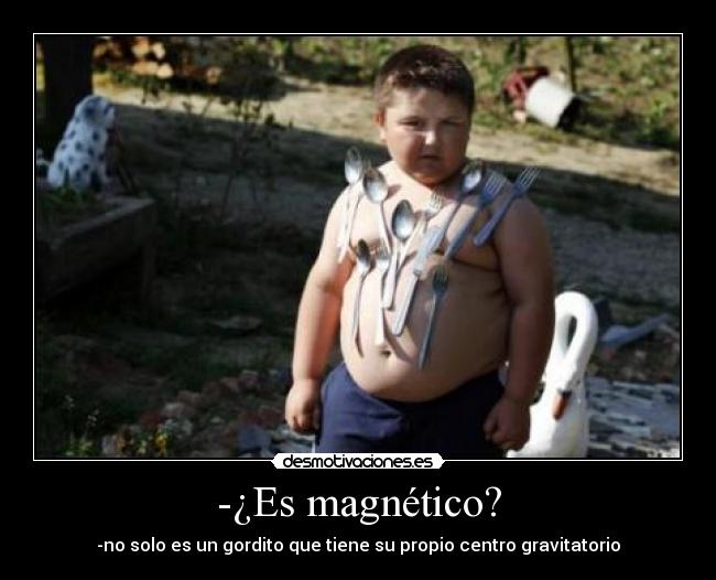 -¿Es magnético? - -no solo es un gordito que tiene su propio centro gravitatorio