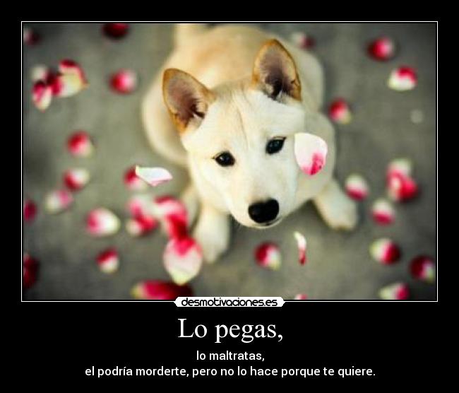 Lo pegas, - lo maltratas,
el podría morderte, pero no lo hace porque te quiere.