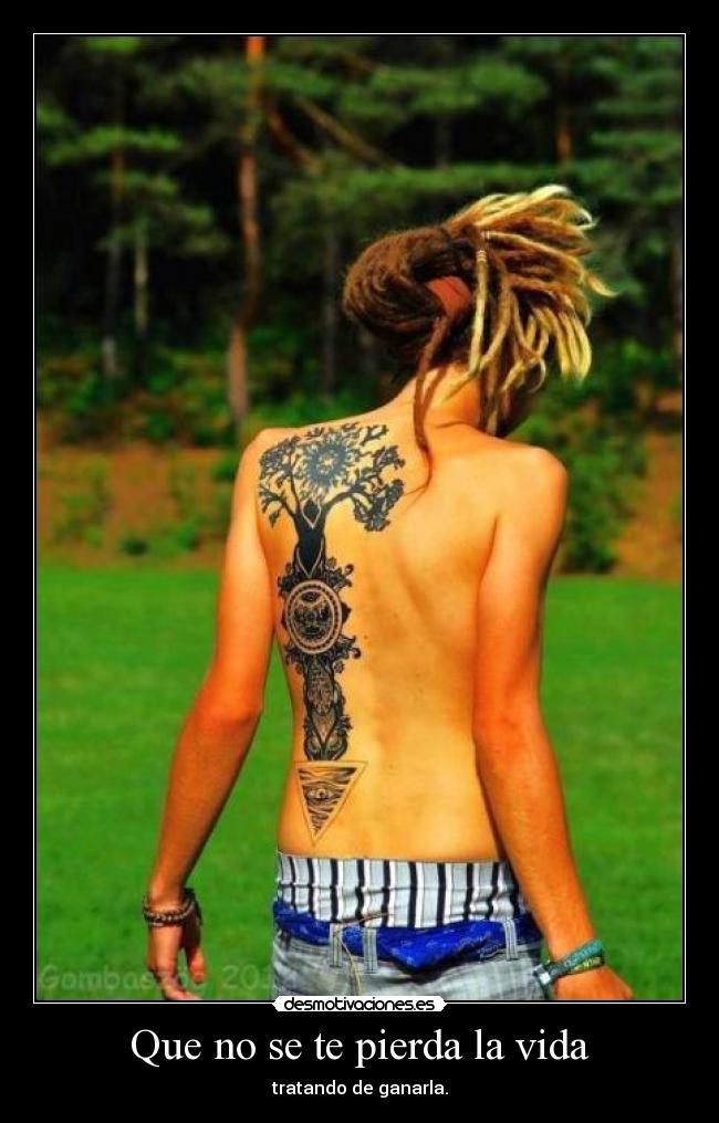 carteles vida vida perder ganar desmotivaciones