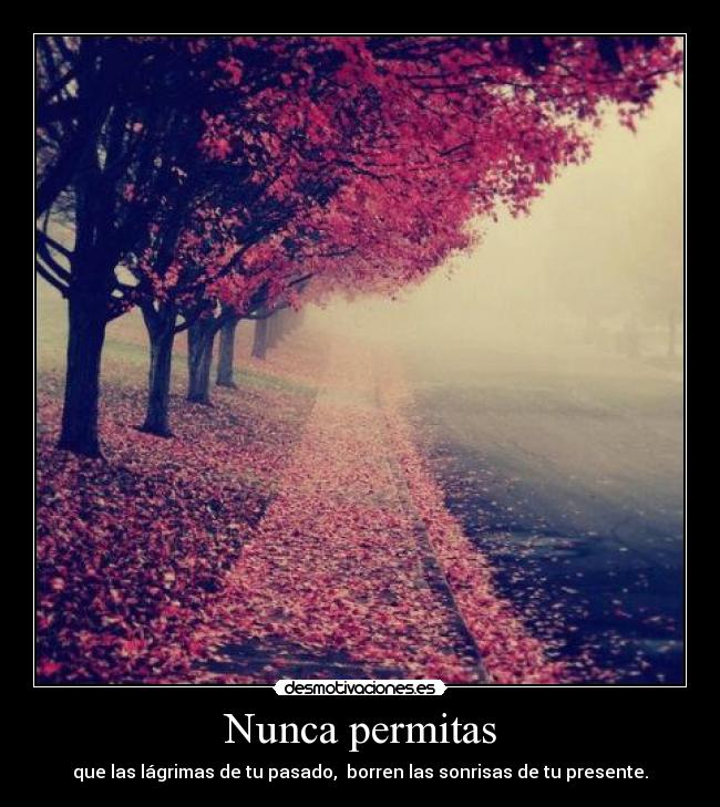 Nunca permitas - que las lágrimas de tu pasado,  borren las sonrisas de tu presente.