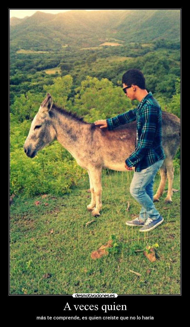 carteles aveces resivimos ayuda quien menos esperabamos desmotivaciones