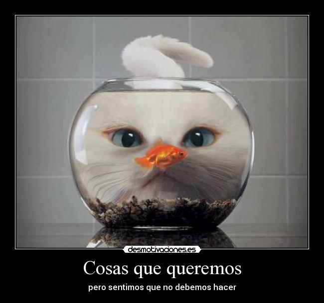 Cosas que queremos - 