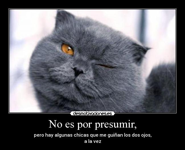 No es por presumir, - 