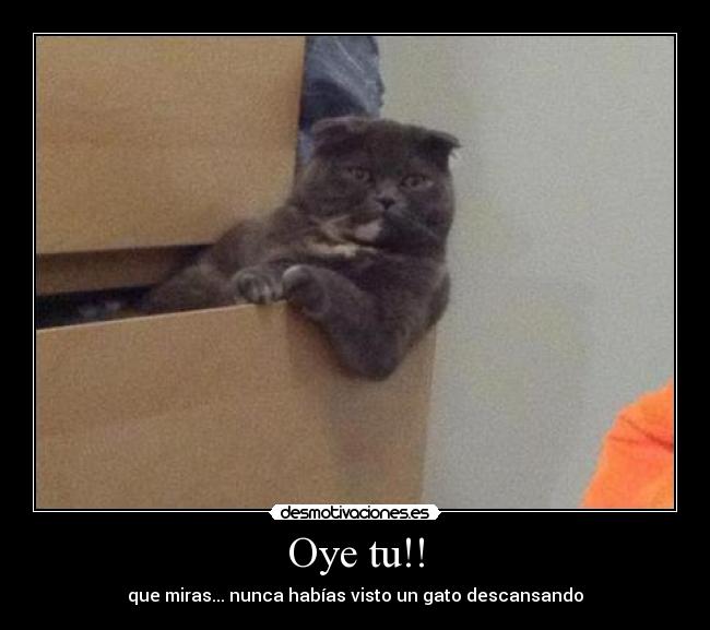 Oye tu!! -