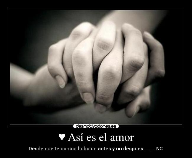 ♥ Así es el amor - Desde que te conocí hubo un antes y un después ..........NC ♔