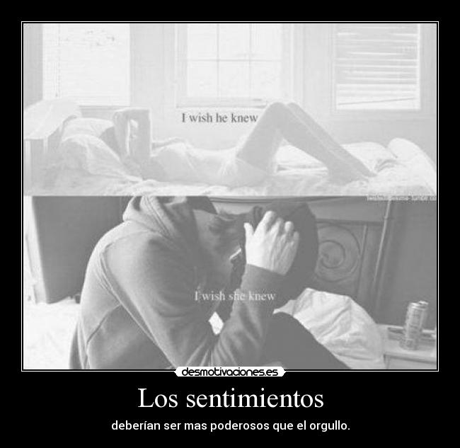 Los sentimientos -