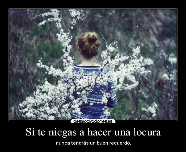 carteles locura eso vida desmotivaciones