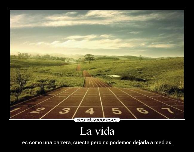 carteles vida asi que hay que tirar para delante desmotivaciones