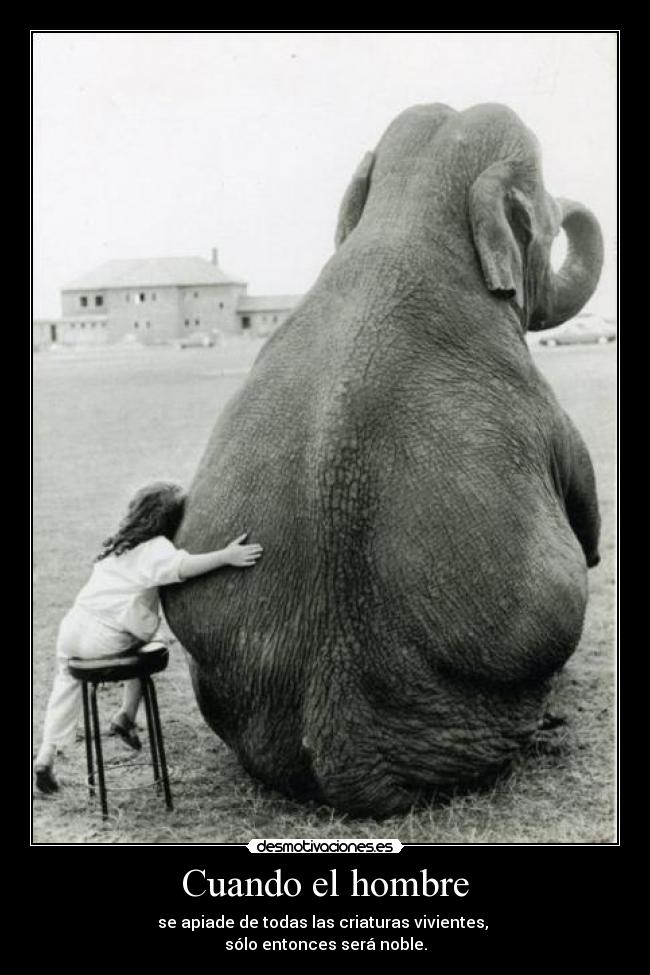 Cuando el hombre - se apiade de todas las criaturas vivientes,
sólo entonces será noble.
