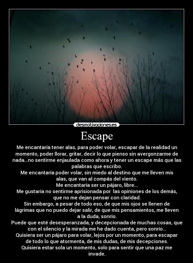 Escape - Me encantaría tener alas, para poder volar, escapar de la realidad un
momento, poder llorar, gritar, decir lo que pienso sin avergonzarme de
nada...no sentirme enjaulada como ahora y tener un escape más que las
palabras que escribo.
Me encantaría poder volar, sin miedo al destino que me lleven mis
alas, que van al compás del viento.
Me encantaría ser un pájaro, libre...
Me gustaría no sentirme aprisionada por las opiniones de los demás,
que no me dejan pensar con claridad.
Sin embargo, a pesar de todo eso, de que mis ojos se llenen de
lágrimas que no puedo dejar salir, de que mis pensamientos, me lleven
a la duda, sonrío.
Puede que esté desesperanzada, y decepcionada de muchas cosas, que
con el silencio y la mirada me he dado cuenta, pero sonrío...
Quisiera ser un pájaro para volar, lejos por un momento, para escapar
de todo lo que atormenta, de mis dudas, de mis decepciones.
Quisiera estar sola un momento, solo para sentir que una paz me
invade.