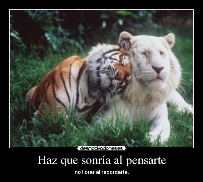 Haz que sonría al pensarte -