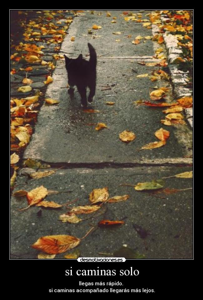 si caminas solo - 