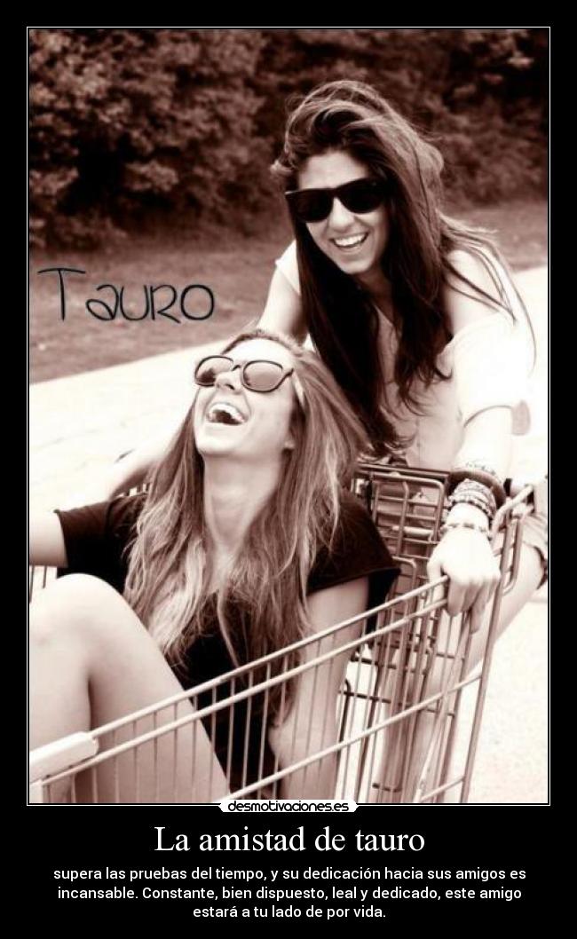 La amistad de tauro - 
