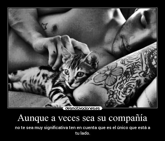 Aunque a veces sea su compañía -