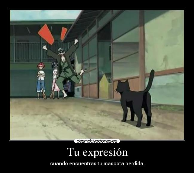 Tu expresión - cuando encuentras tu mascota perdida.