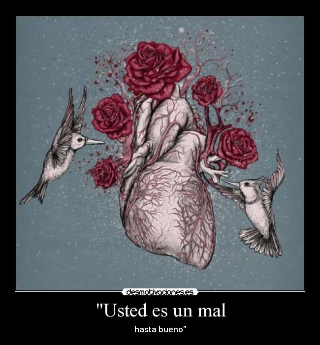 Usted es un mal - hasta bueno