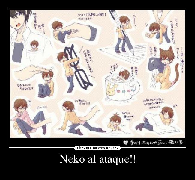 Neko al ataque!! - 