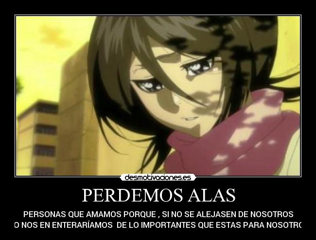 PERDEMOS ALAS - PERSONAS QUE AMAMOS PORQUE , SI NO SE ALEJASEN DE NOSOTROS
NO NOS EN ENTERARÍAMOS DE LO IMPORTANTES QUE ESTAS PARA NOSOTROS