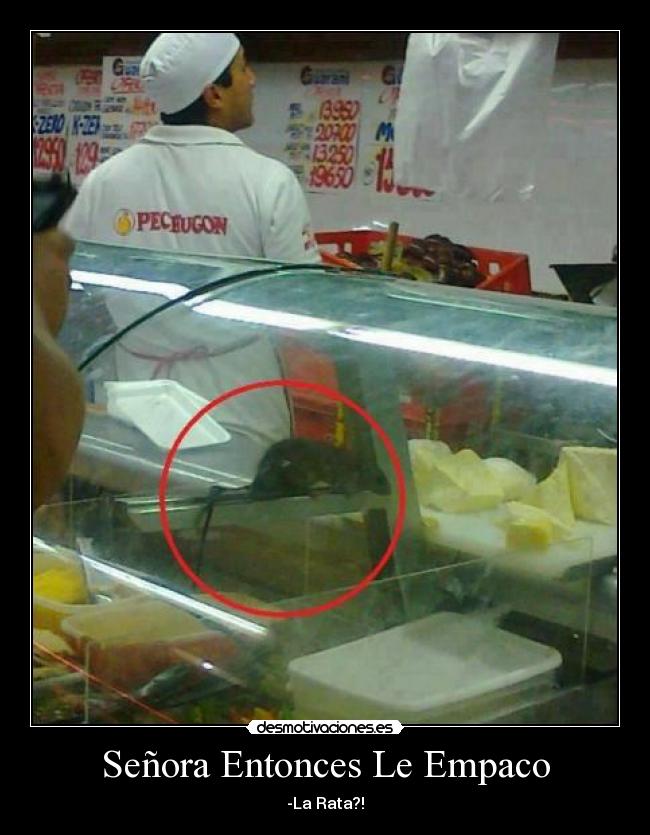 Señora Entonces Le Empaco - -La Rata?!
