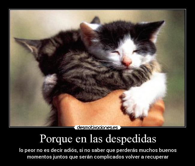 Porque en las despedidas -