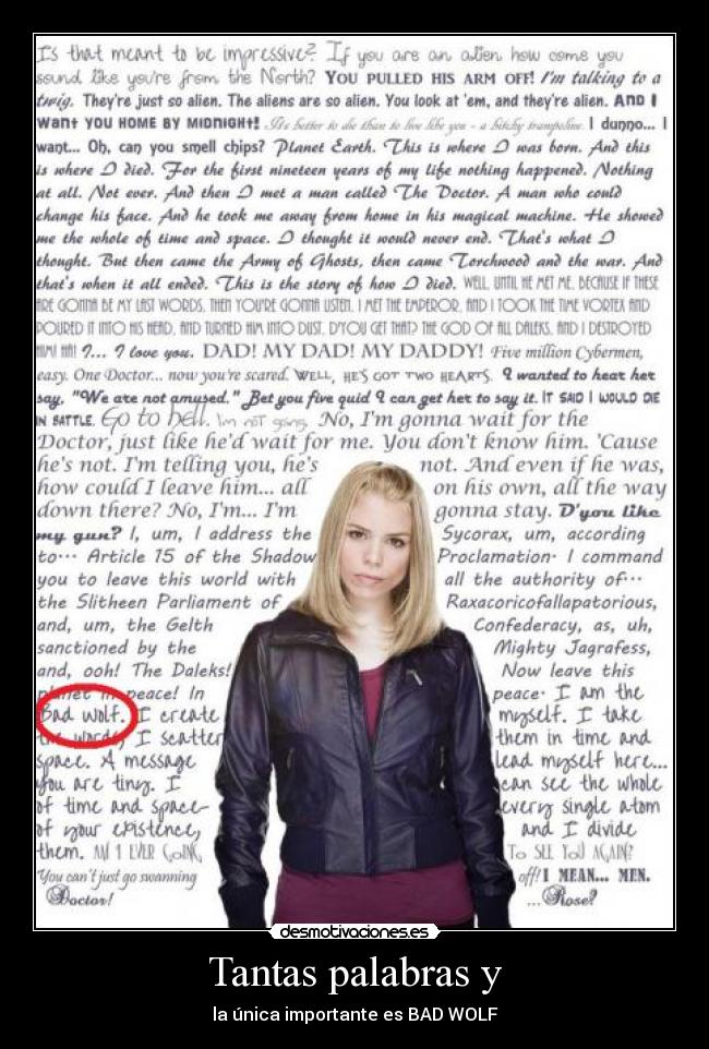 Tantas palabras y - la única importante es BAD WOLF