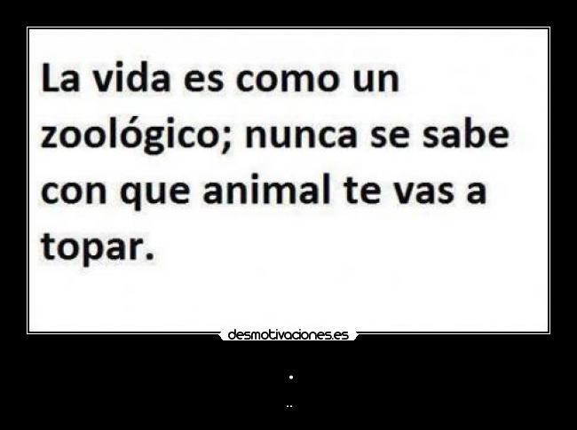 carteles lapeqe95 desmotivaciones