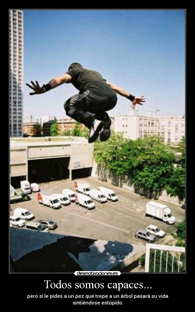 carteles dfqwefrasd desmotivaciones