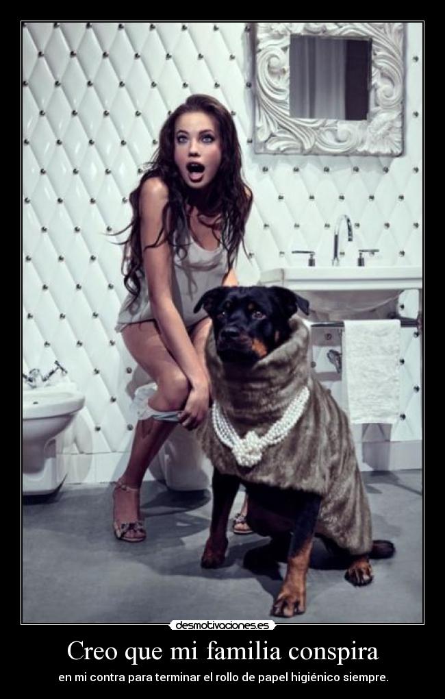 carteles familia desmopornositas sanha que esperaba pero cambio por nada desmotivaciones