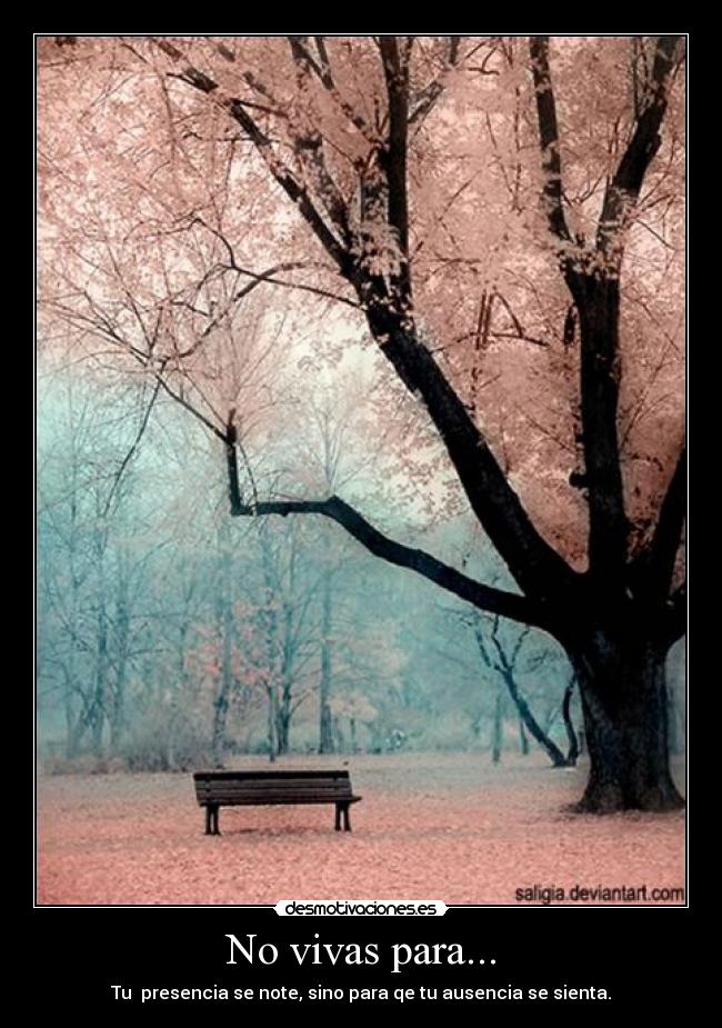 No vivas para... -