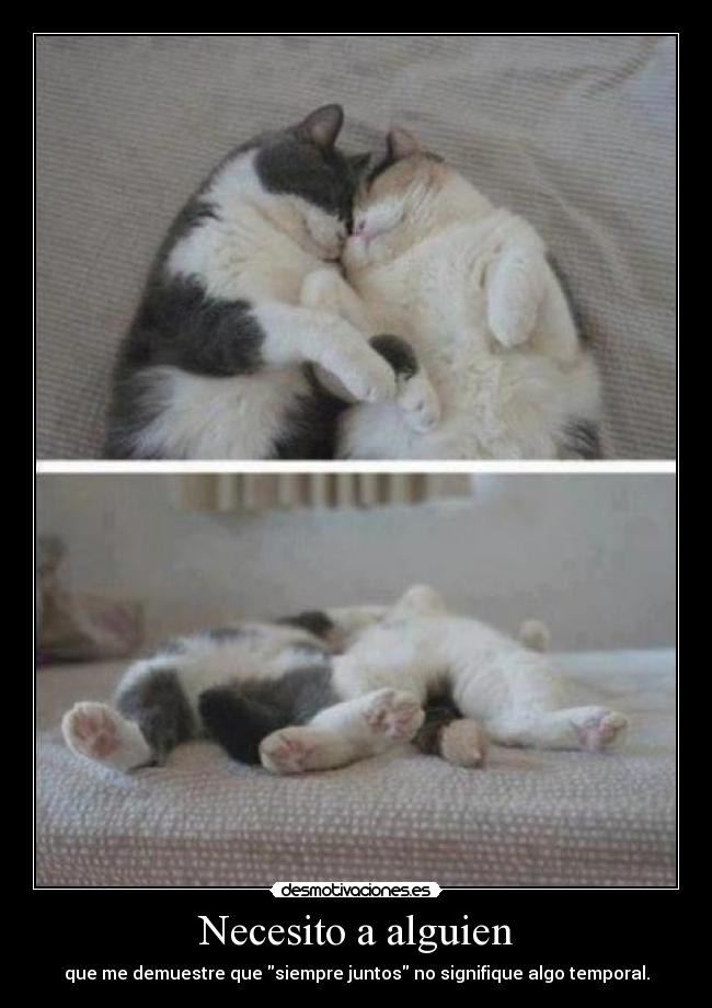 Necesito a alguien -