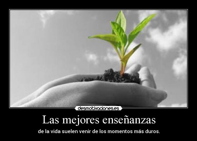 Las mejores enseñanzas - 
