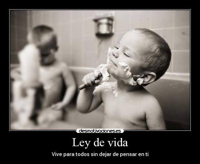 Ley de vida -