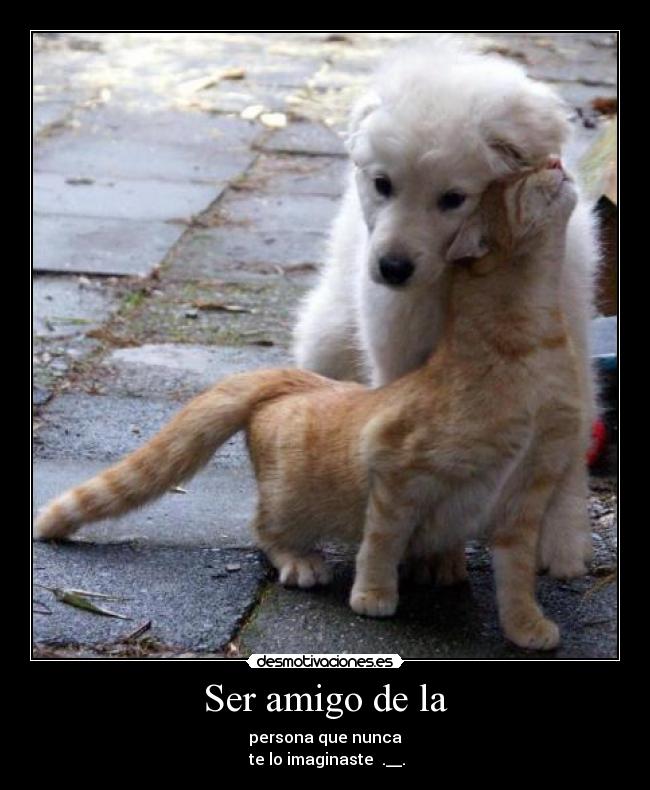 Ser amigo de la -