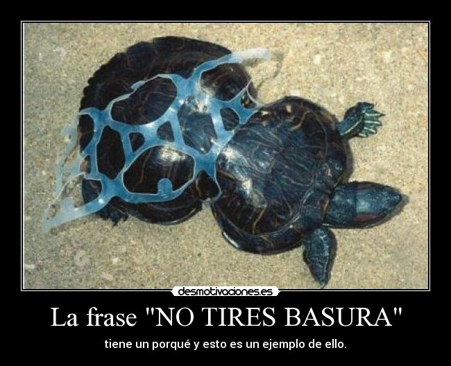 La frase NO TIRES BASURA - 