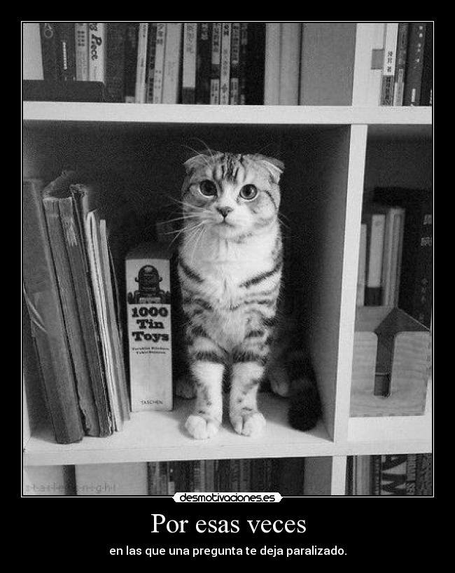 Por esas veces - en las que una pregunta te deja paralizado.