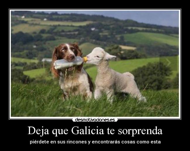 Deja que Galicia te sorprenda -