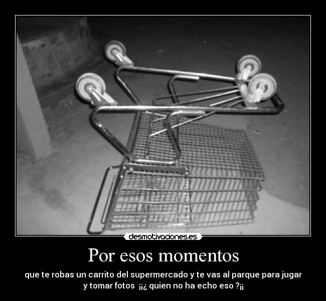 Por esos momentos - que te robas un carrito del supermercado y te vas al parque para jugar
y tomar fotos  ¡¡¿ quien no ha echo eso ?¡¡