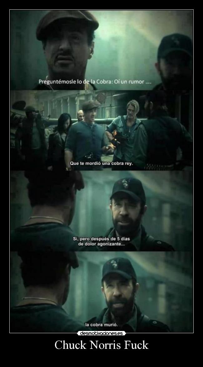 Chuck Norris Fuck - 