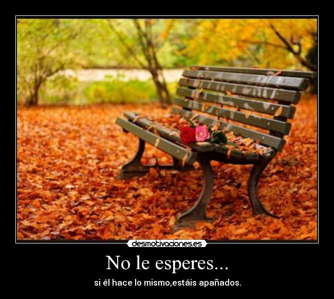 No le esperes... - 