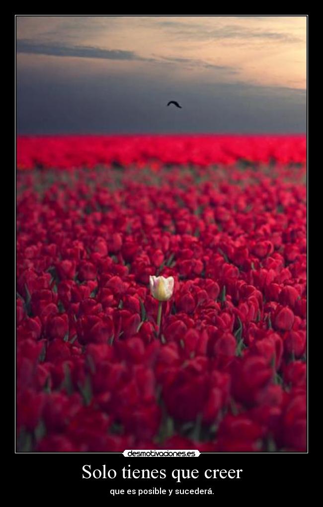Solo tienes que creer - 