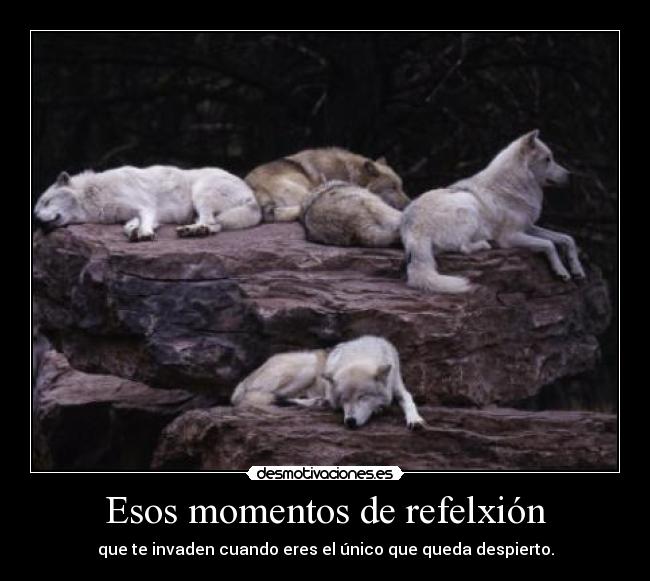 Esos momentos de refelxión - que te invaden cuando eres el único que queda despierto.