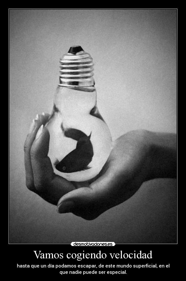 carteles piensa que aun hay dias que todavia estan llegando desmotivaciones