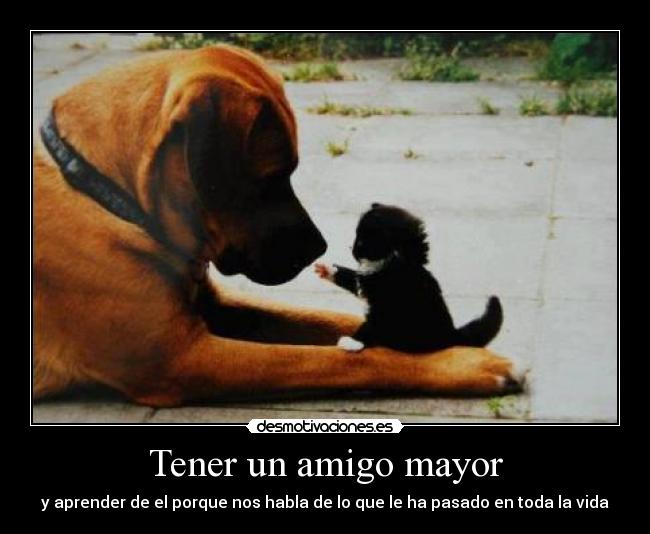 Tener un amigo mayor - y aprender de el porque nos habla de lo que le ha pasado en toda la vida