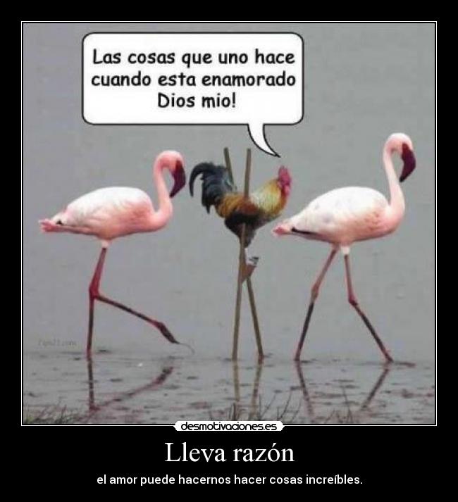 Lleva razón - el amor puede hacernos hacer cosas increíbles.