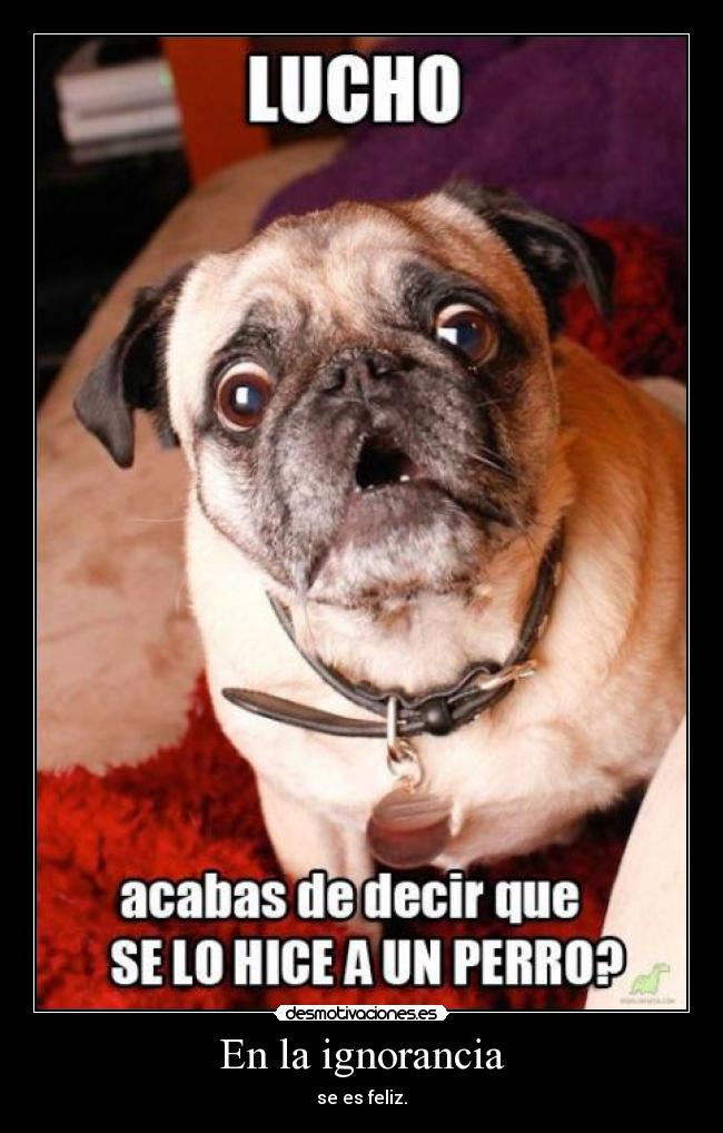 En la ignorancia - se es feliz.